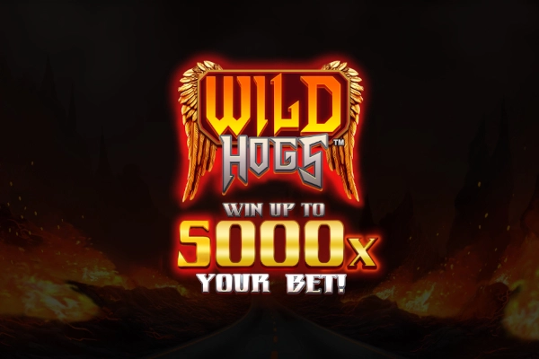 23292 wild hogs